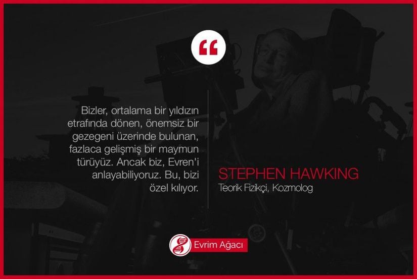"Bizler, ortalama bir yıldızın etrafında dönen, önemsiz bir gezegeni üzerinde bulunan, fazlaca gelişmiş bir maymun türüyüz. Ancak biz, Evren'i anlayabiliyoruz. Bu, bizi özel kılıyor."  Stephen Hawking (İngiliz teorik fizikçisi, Albert Einstein Ödülü, Wolf Ödülü, Asturias Prensi Ödülü, Copley Madalyası, Başkanlık Özgürlük Madalyası sahibi; Hawking radyasyonunun kaşifi)