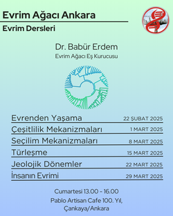 Evrim Dersleri