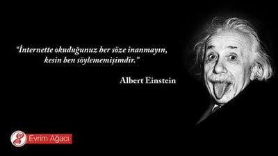 Einstein Tarafından Söylendiği İddia Edilen Ancak Onun Söylemediği 20 Söz!