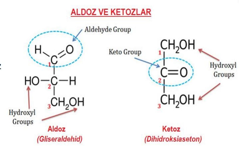 Karbonhidrat monomerlerinde ketoz ve aldoz isimlendirilmesine sebep olan grupların gösterimi.