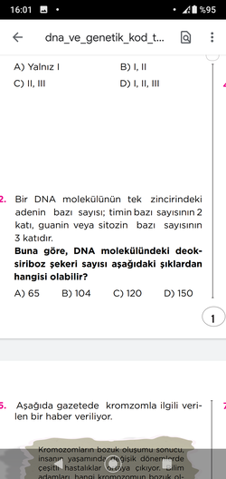 104 fosfatlı bir DNA da kaç Adenin vardır?