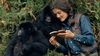 Dian Fossey: Kaçak Goril Avcılarının Katlettiği Çevreci!