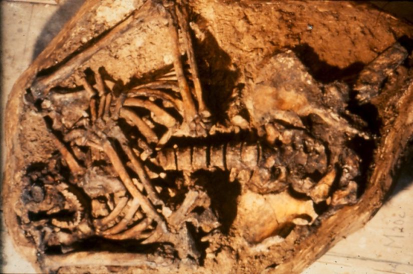 Görsel 3. Günümüzden 60.000 yıl öncesine ait, 1983’te İsrail Kebara Mağarası’nda bulunan Neandertal mezarının fotoğrafı.