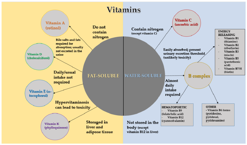 Vitaminlerin çözünürlük ve özelliklerine göre sınıflandırılması.