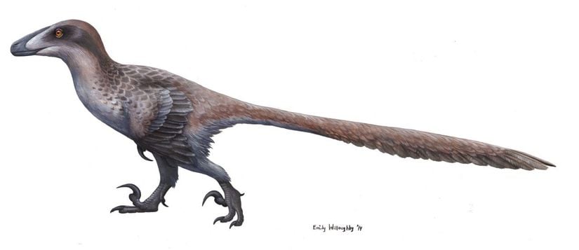 Bilimsel olarak son derece tutarlı bir Deinonychus görseli