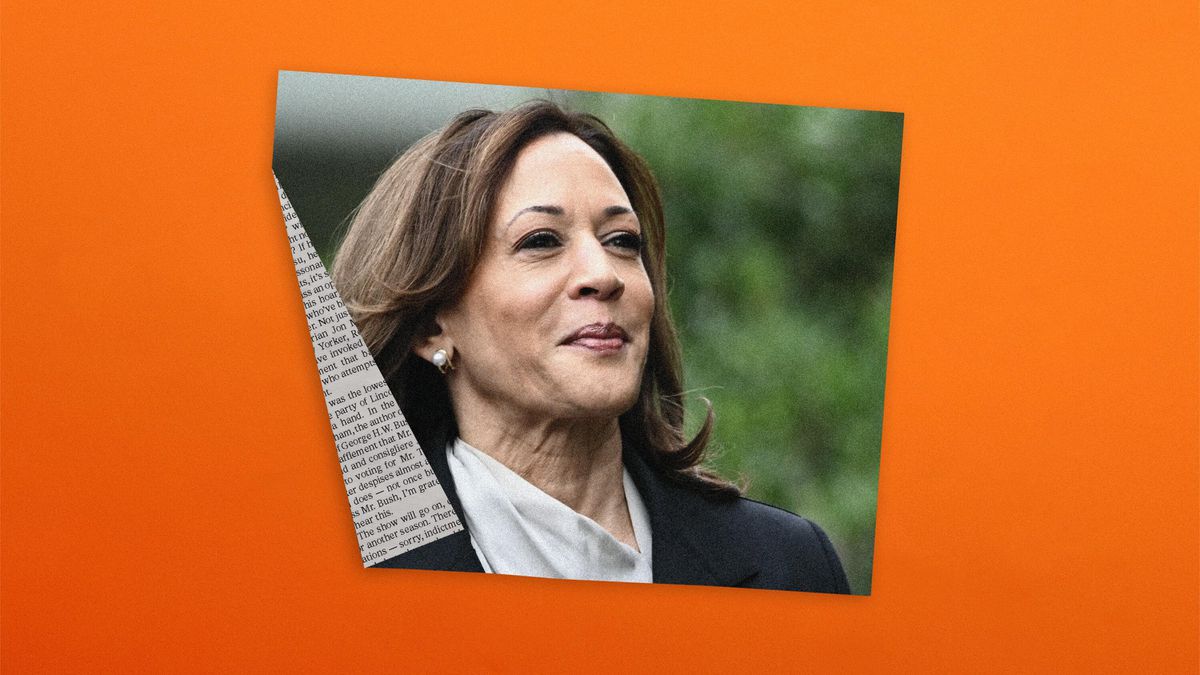 Kamala Harris Transforms Viral Criticism Into Connection