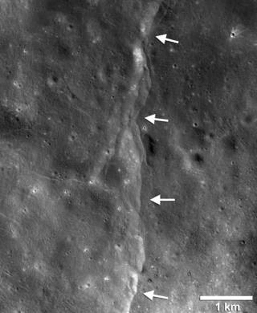 Reconnaissance Orbiter Camera görüntülerinde, Ay üzerinde binlerce genç, lobsu yamaç olduğu tespit edilmiştir. Burada gösterilene benzer lopsu yamaçlar, Ay'ın kabuğu sıkıştırıldığında, kırıldığında ve bir uçurum oluşturacak şekilde yukarı doğru itildiğinde oluşan, merdiven basamakları benzeri yapılardır. Ay'ın hala sıcak olan iç kısmının soğuması Ay'ın büzülmesine neden olmaktadır, ancak sarplıkların yönelim modeli, Dünya'nın yerçekimi kuvvetinin bu çatlakların oluşumuna katkıda bulunduğunu göstermektedir.
