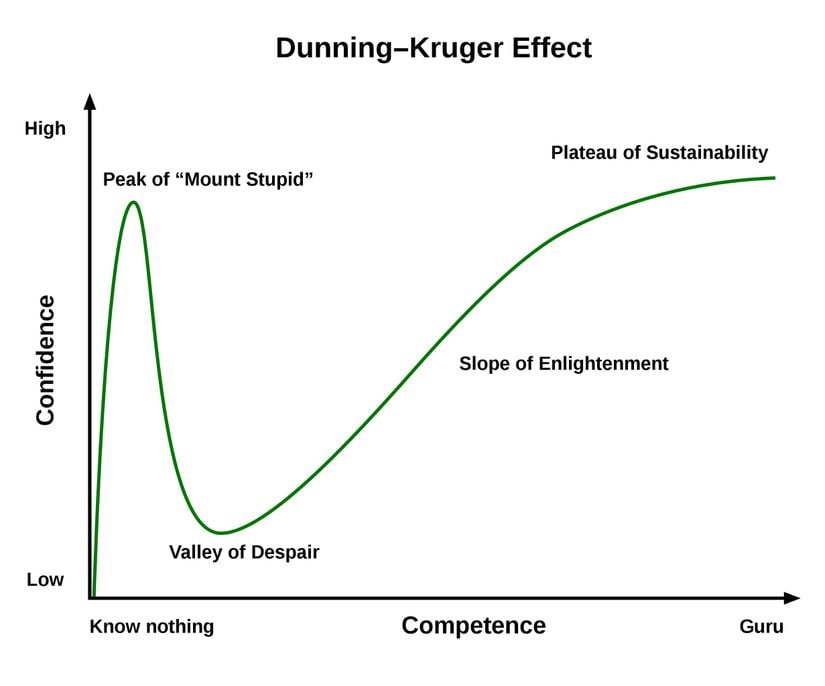 Yaygın olarak kullanılan bir diğer Dunning-Kruger Etkisi grafiği