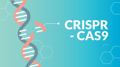 CRISPR Gen Düzenleme Yöntemi Nedir? CRISPR-Cas9 Sistemini Kullanarak Genleri Nasıl Düzenleriz?