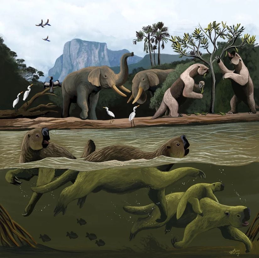 Pleyistosen Devresi Brezilya'sında, Notiomastodon platensis ve Australonyx aquae nehir kenarında otlanırken, bir Ahytherium aureum popülasyonu nehir içerisinde yüzmektedir.