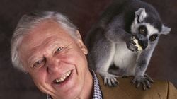 David Attenborough: Doğaya ve Belgesellere Adanmış Bir Asırlık Ömür!