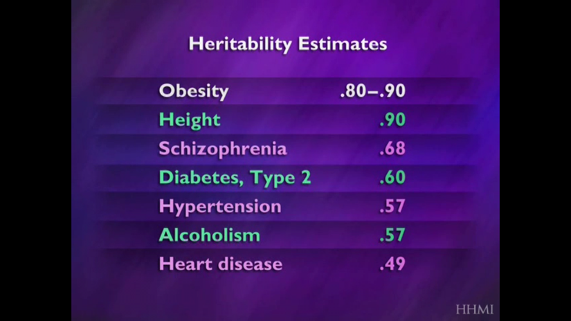 Çeşitli özelliklerin genetik olarak aktarılma oranları. Obezitenin kalıtımdaki yerini daha iyi görebilirsiniz.