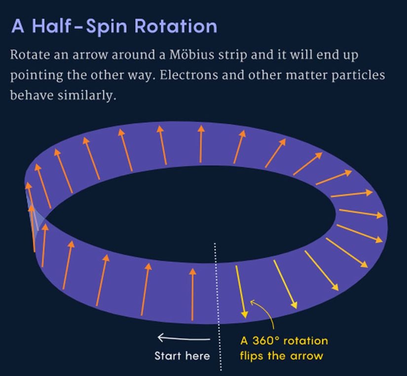 Yarım spin değeri, bir parçacığın ilk konumuna dönmek için iki kere 360 derece dönmesi gerektiğini ifade eder. Spin değerini açacak olursak, spin değeri parçacığın bir 360 derecelik dönüş esnasında kaç kere ilk konumuna döneceğini ifade eder.
