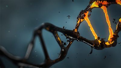 Karanlık DNA: Yerinde Olması Gereken Ama Olmayan Gen!