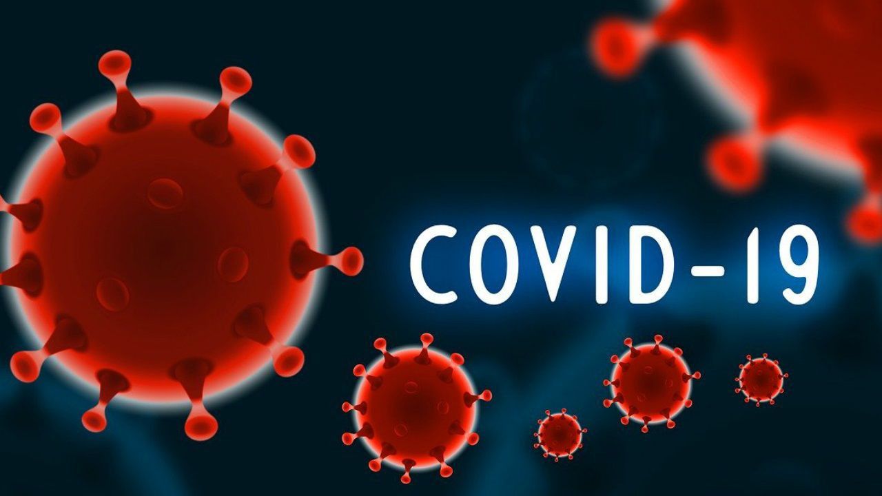 covid 19 daha da kotulesiyor mu sars cov 2 virusu mutasyonlari koronavirus evriminin yonuyle ilgili bize neler soyluyor evrim agaci