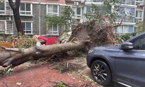 Typhoon Bebinca Slams Shanghai Breaking Records Since 1949