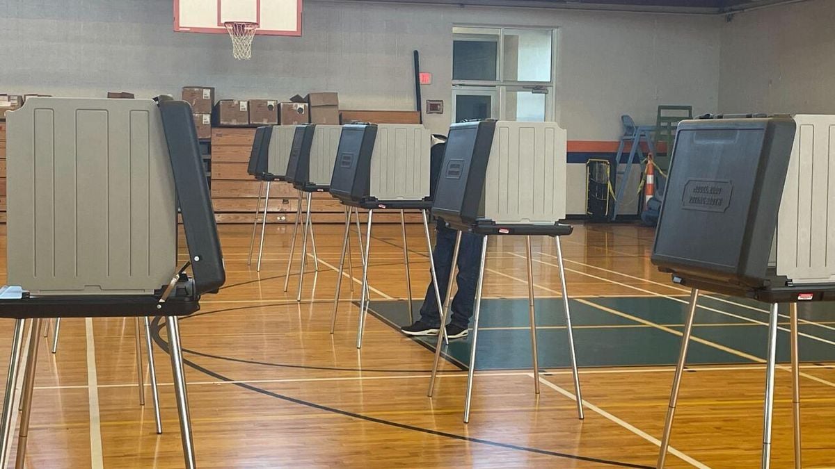 Allegations Flare Over Non-Citizen Voting Ahead Of 2024 Election