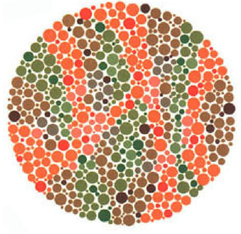 Plaka 20: Normal görüşlüler hiçbir sayı görmezler, kırmızı-yeşil renk körleri 45 görürler.