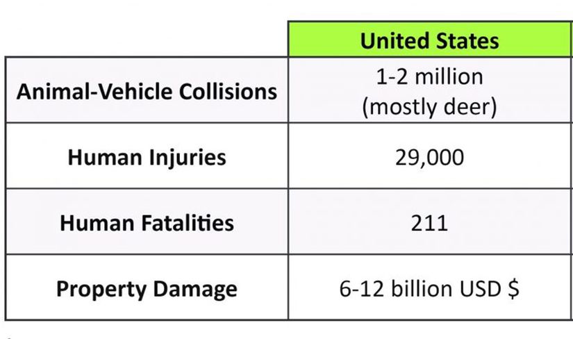 ABD'de Yıllık Ortalama Hayvan-Araç Kazalarının Maliyet Tablosu