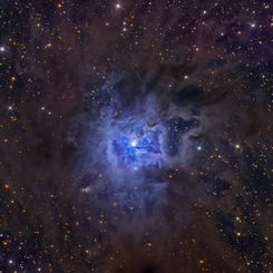  NGC 7023: The Iris Nebula 