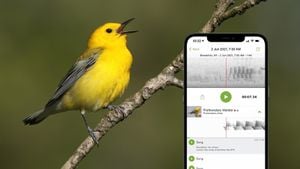 Birdwatching Technology Takes Flight Amid Fall Migration