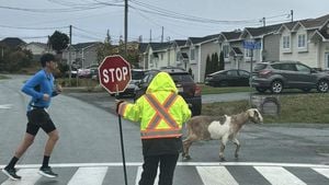 Goat Joins Newfoundland Marathon And Steals The Spotlight