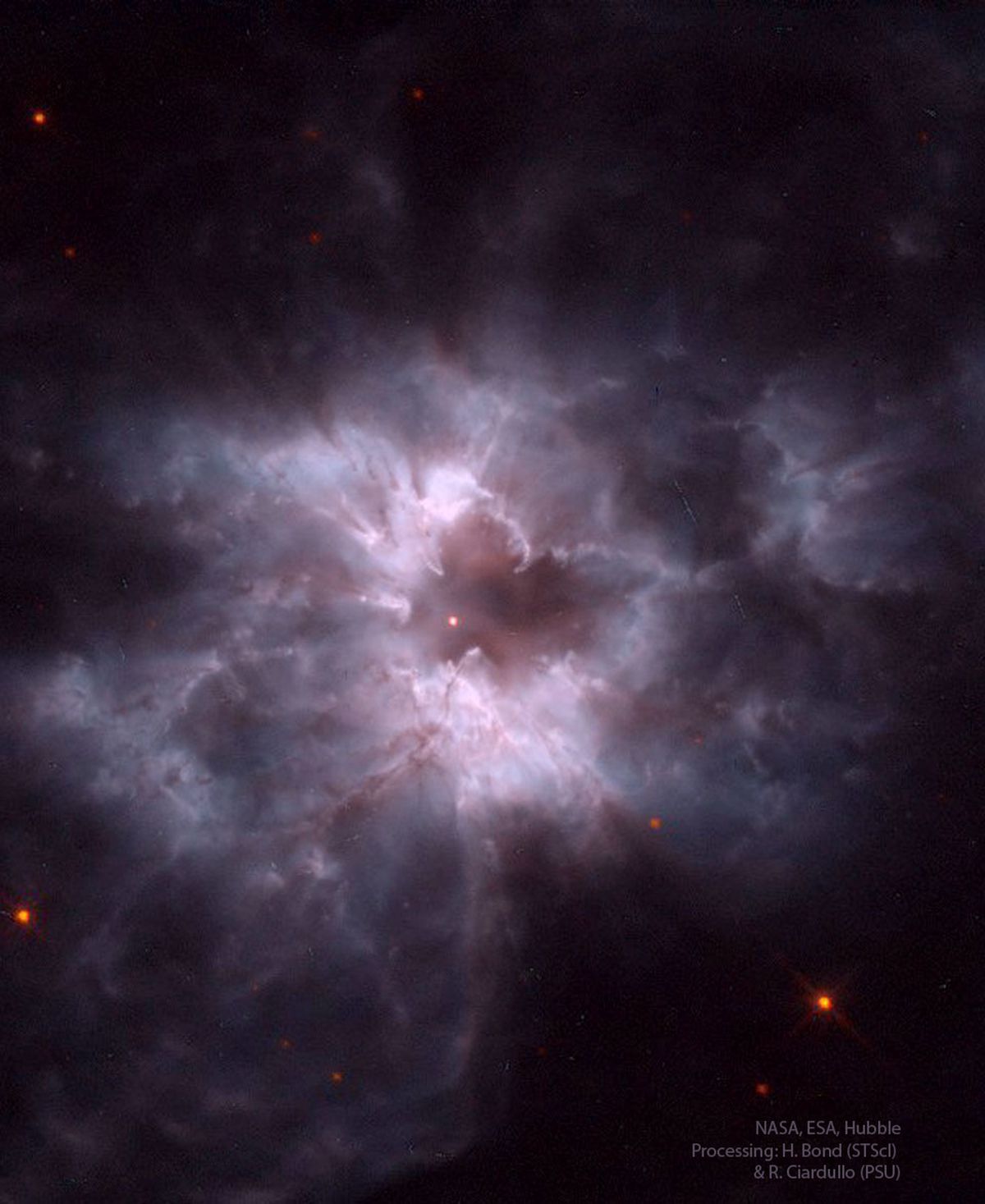  NGC 2440: Cocoon of a New White Dwarf 