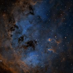  The Tadpoles of IC 410 