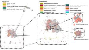 Human Gut Archaeal Viruses: Are We Overestimating Their Diversity?