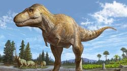 Yeni Tyrannosaurus Türü Keşfedildi: Tyrannosaurus mcraeensis ile Tanışın!
