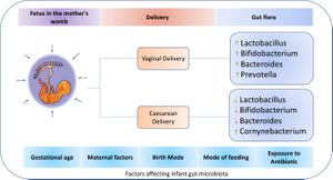 How Can Understanding Our Gut Microbiome Improve Child Health?