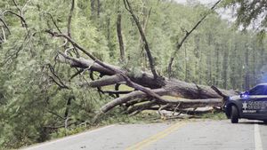 Hurricane Helene Leaves Widespread Power Outages And Recovery Challenges