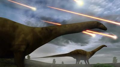 Eğer 66 Milyon Yıl Önce Bir Asteroit Çarpmamış Olsaydı, Dinozorlar Günümüzde Halen Hüküm Sürüyor Olabilirdi!