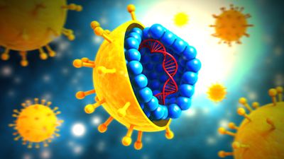 Virüslerin DNA'sındaki 