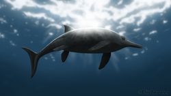 Geçmişte yaşamış deniz sürüngenleri dikey bir kuyruğa sahipken, balinaların kuyrukları neden yassıdır?
