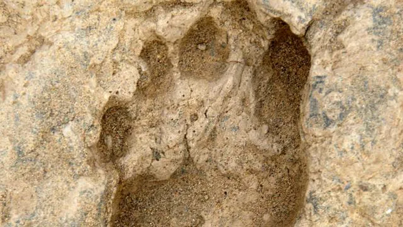 1,5 milyon yıllık ayak izleri