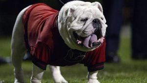 Georgia Bulldog Mascot Absent For Texas Showdown