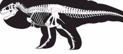 Dinozorlarda Gerçekte Böyle Görünüyor Olabilir mi?