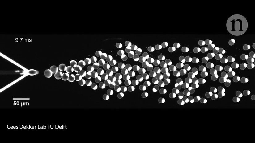 Mikroakışkan çip üzerinde üretilmiş hücre boyutunda lipozomlar (Baloncuk makineleri).