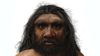 Ejderha Adamı (Homo longi): Bize, Neandertaller'den Bile Yakın Akraba Olan Yeni Bir İnsan Türü Keşfedilmiş Olabilir!