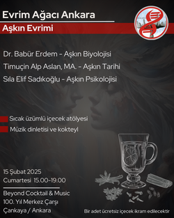 Aşkın Evrimi