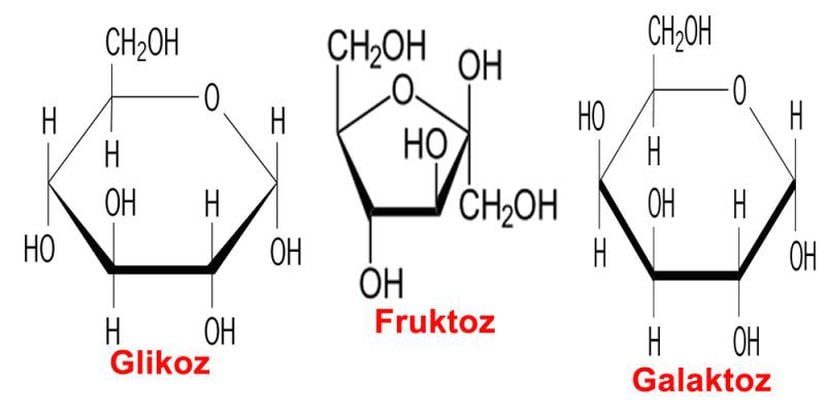 Glikoz, fruktoz ve galaktoz en bilindik monosakkaritler arasında yer alır.
