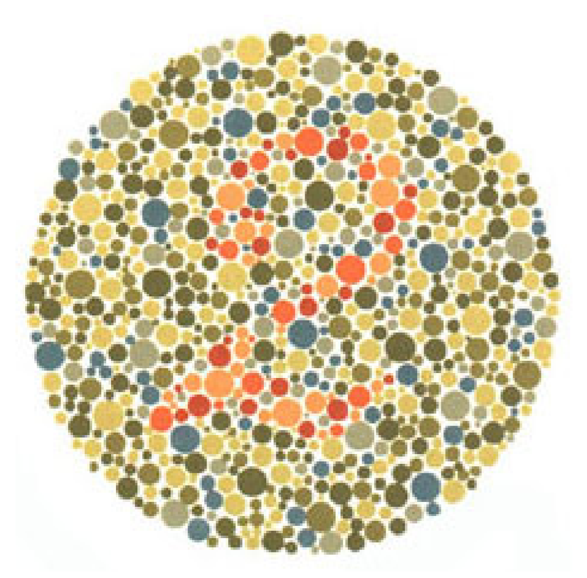 Plaka 10: Normal görüşlüler 2 görürler, kırmızı-yeşil renk körleri hiçbir sayı görmez veya bir sorun olduğunu düşünürler.