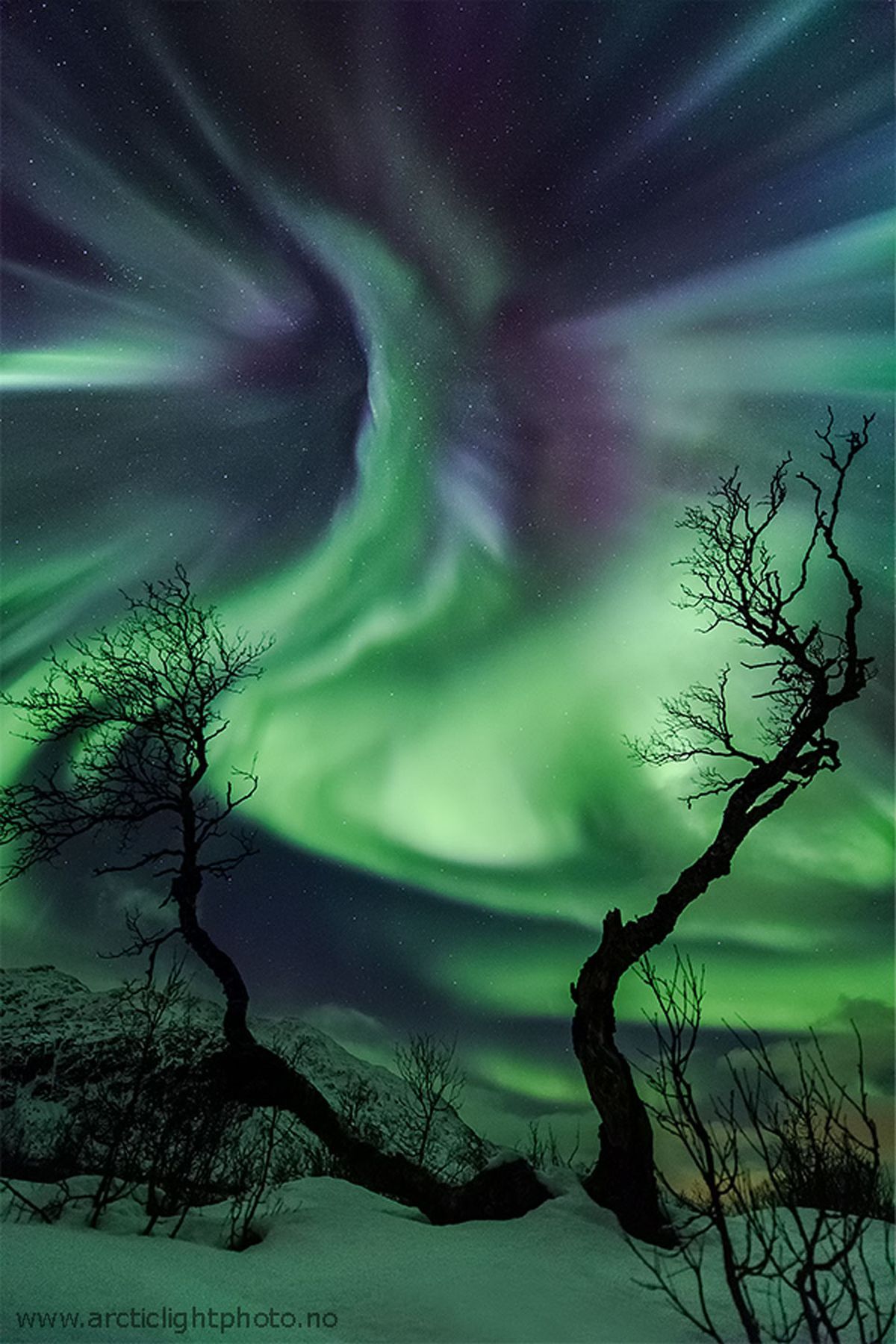 Norveç Üzerinde Yaratık Aurora