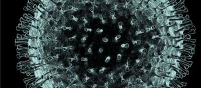 Muhteşem Görünümlü ve Ölümcül 12 Virüs
