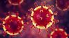 Şiddetli Akut Solunum Yolu Sendromu (SARS) Nedir? SARS Koronavirüsü Halen Aramızda mı?