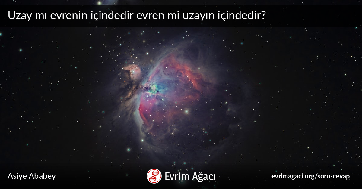 Uzay Mi Evrenin Icindedir Evren Mi Uzayin Icindedir Soru Cevap Evrim Agaci