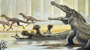 Sürüngen Evrimi: Adaptif Yayılım Yerine, Birikimli Seçilim, Sürüngenlerin Nasıl ve Ne Zaman Evrimleştiğini Daha İyi Açıklıyor!