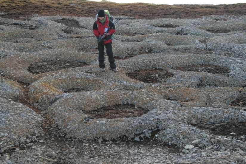 Norveç’in Spitsbergen adalarında araştırma yapan bilim insanı. Fotoğrafta taş halkaları görülmektedir. Taş poligonlarından farkı, daire şeklini almalarıdır.