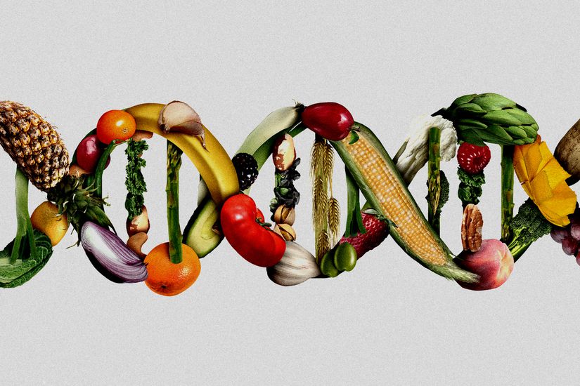 Bitkisel beslenme ve genetik